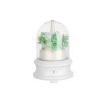 Streaming bottle Aroma Diffuser -  Preserved flower Version
